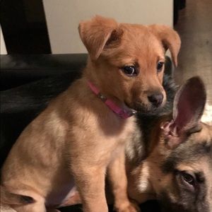 Meet your Posher, Juan